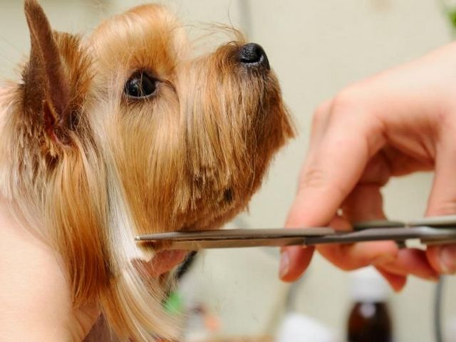 Энциклопедия ЗооТом в Новоалександровске Энциклопедия ЗооТом в Новоалександровске